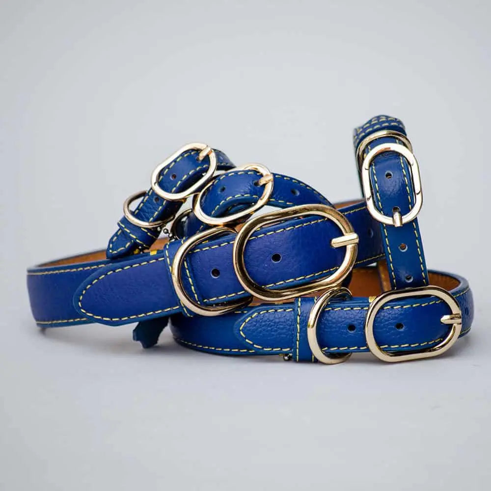 "Summer" ist das hochwertige Lederhalsband für 4Beiner in der edlen marineblauen Farbe "Royal", die in verschiedenen Größen erhältlich ist.
