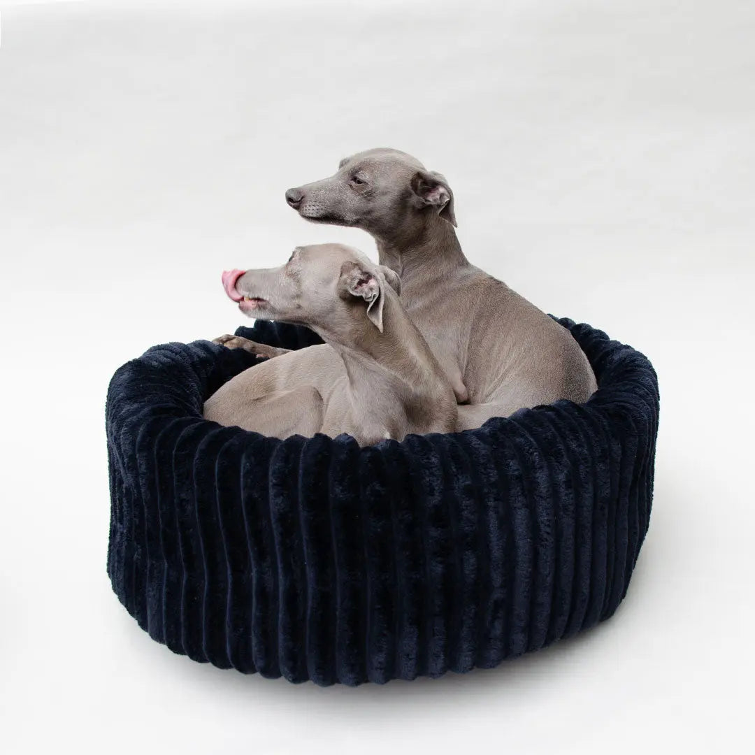 Das kuschelige Hundebett „Biscuit“ - black 4legs.de