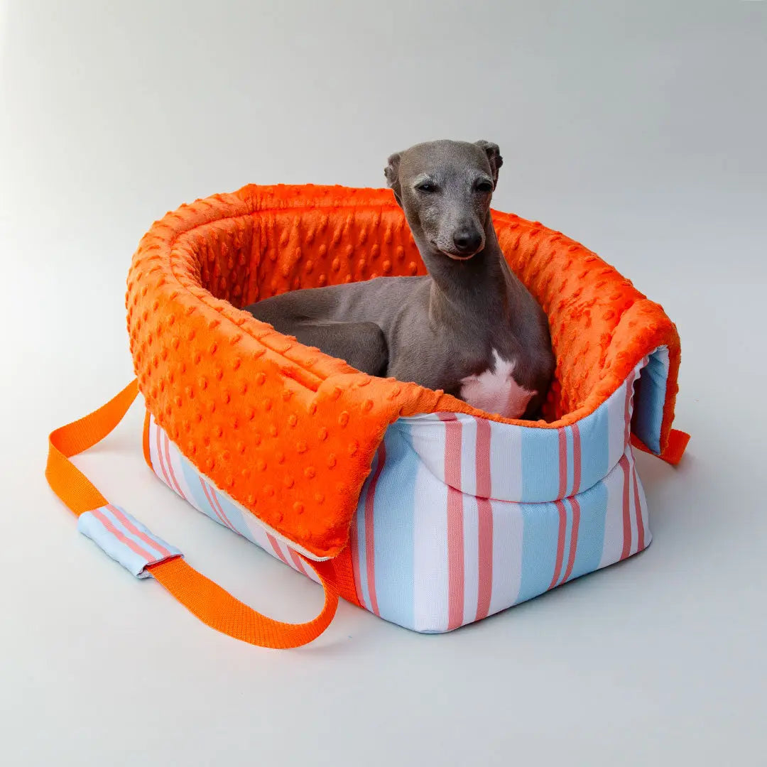 Die Hundetasche "lunch & dinner RIVIERA" - Orange 4legs.de