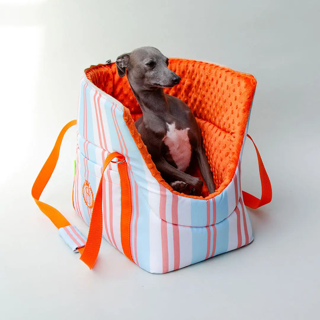 Die Hundetasche "lunch & dinner RIVIERA" - Orange 4legs.de