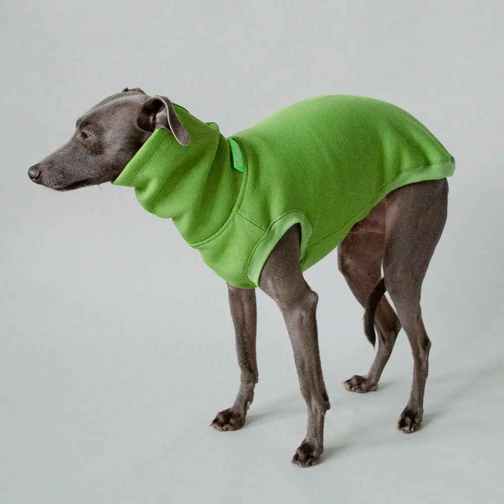 Dogsweater "COZY" - green 4legs.de