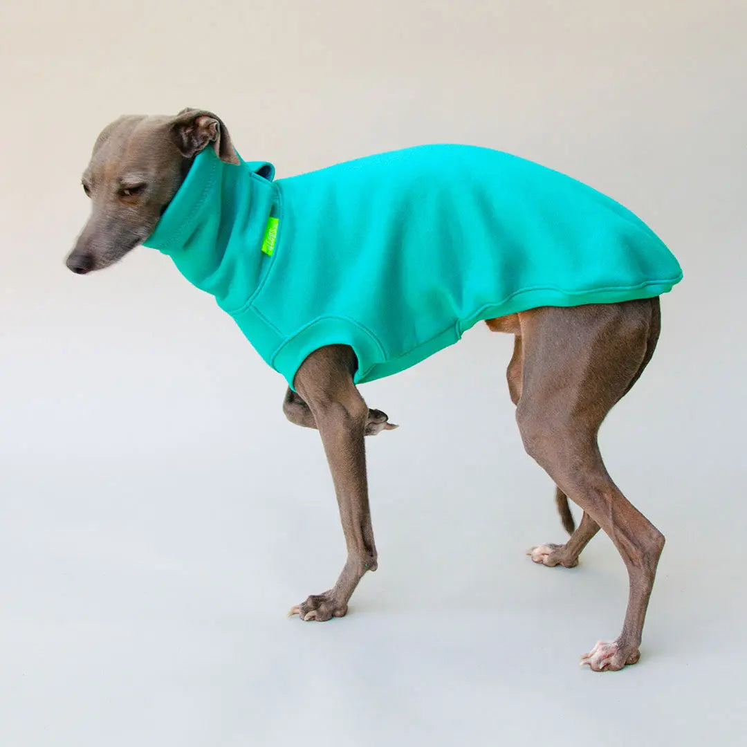 Dogsweater "COZY" - blue 4legs.de