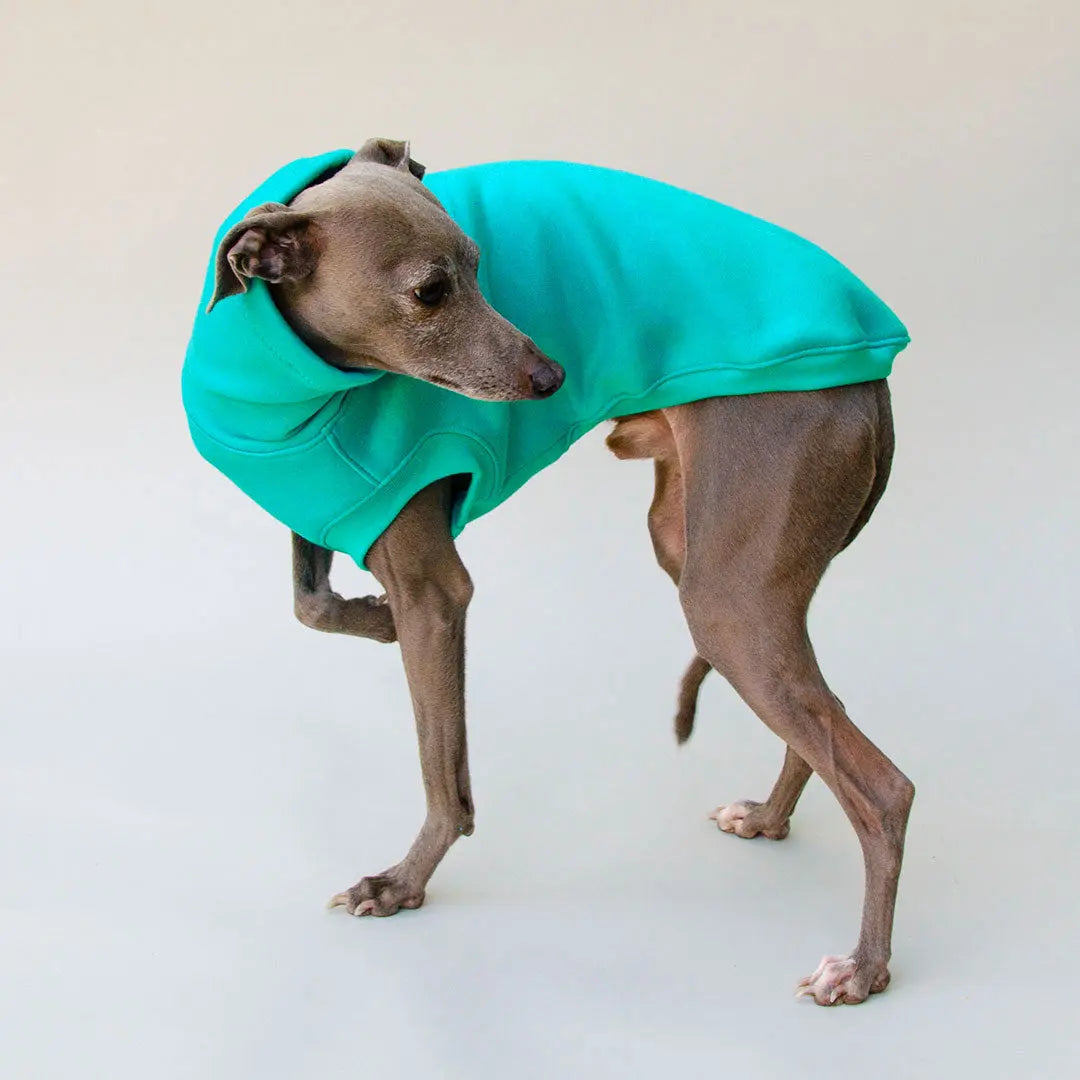 Dogsweater "COZY" - blue 4legs.de