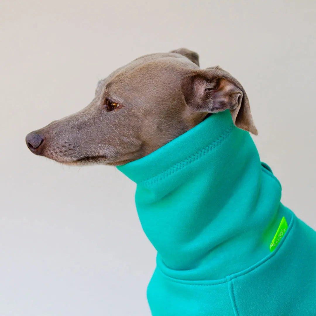 Dogsweater "COZY" - blue 4legs.de