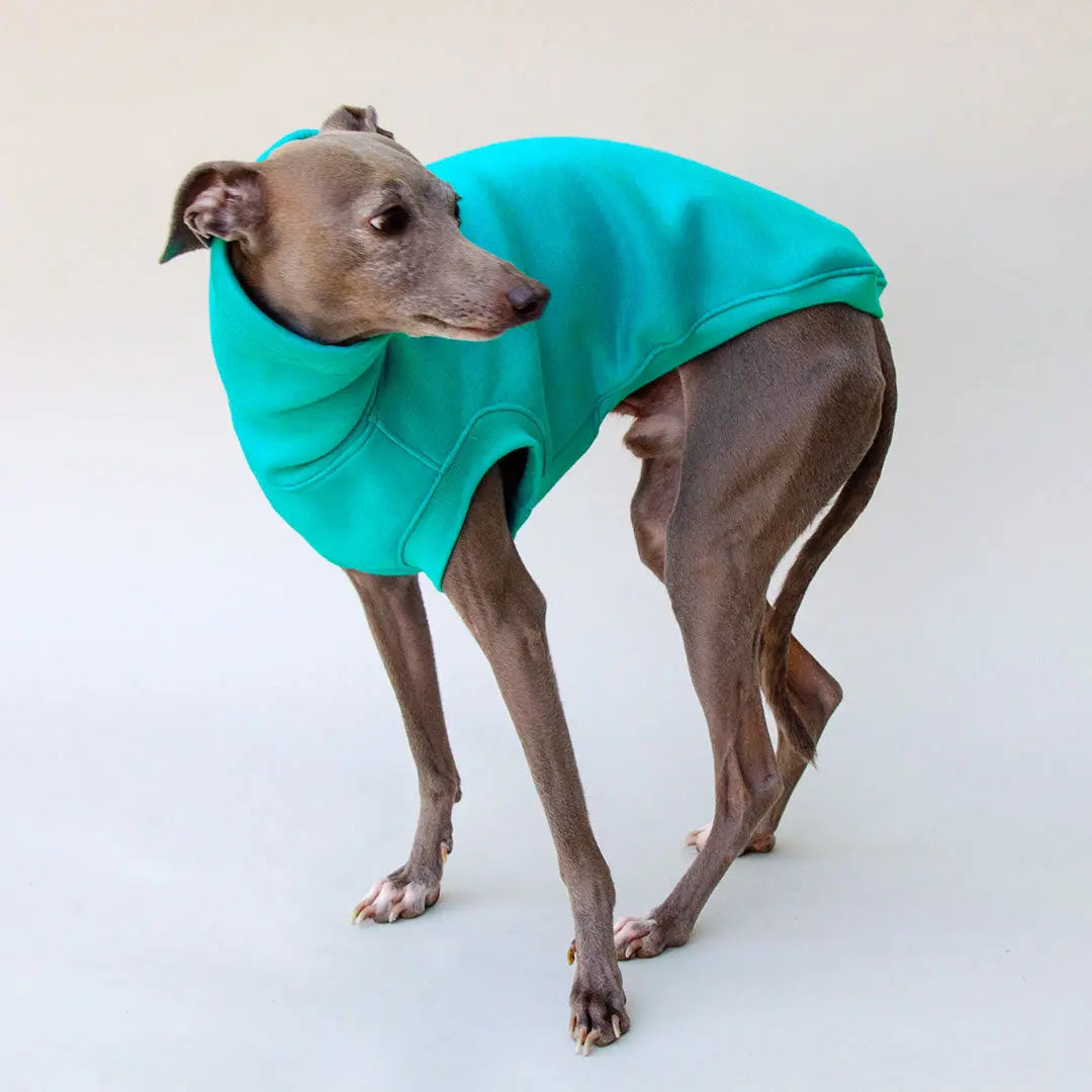 Dogsweater "COZY" - blue 4legs.de