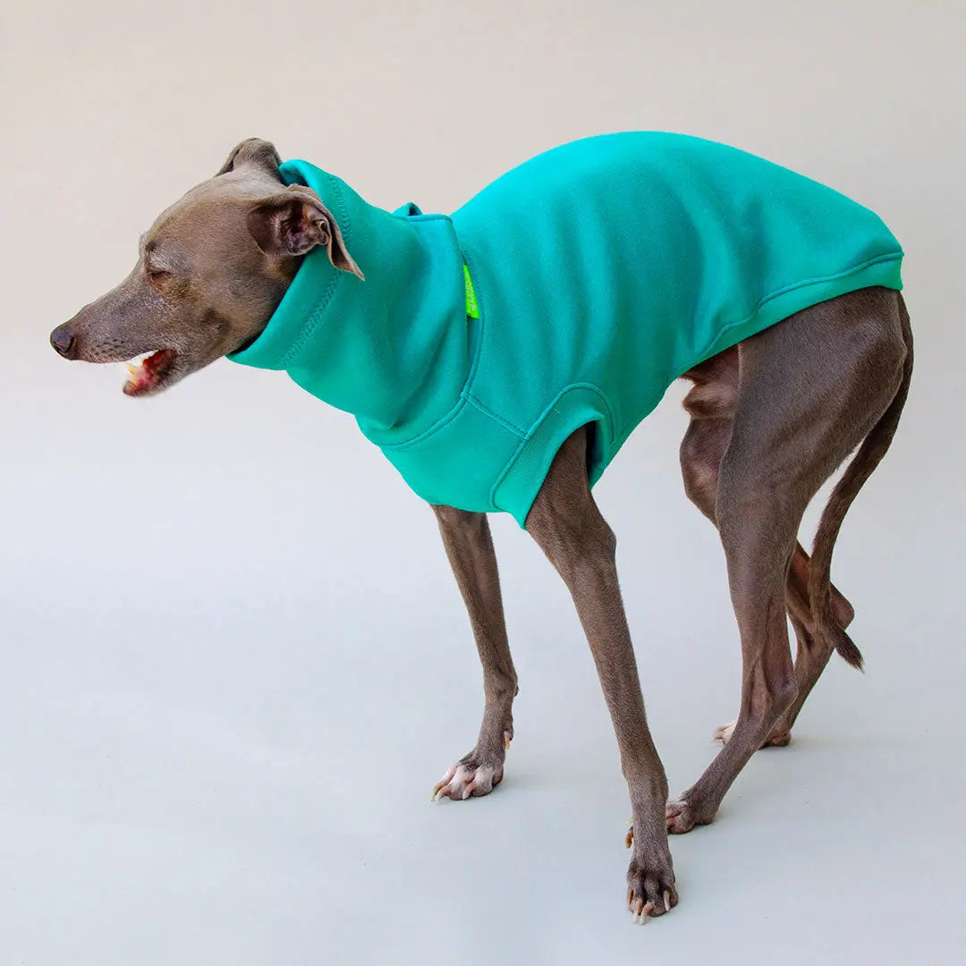 Dogsweater "COZY" - blue 4legs.de