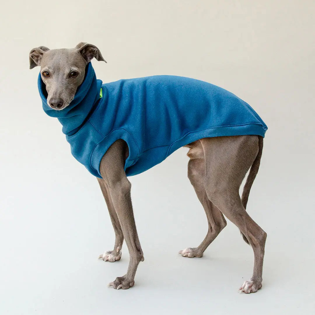 Dogsweater "COZY" - petrol 4legs.de