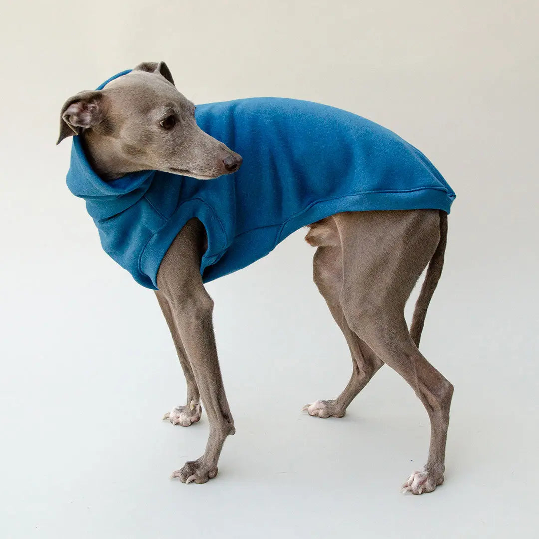 Dogsweater "COZY" - petrol 4legs.de