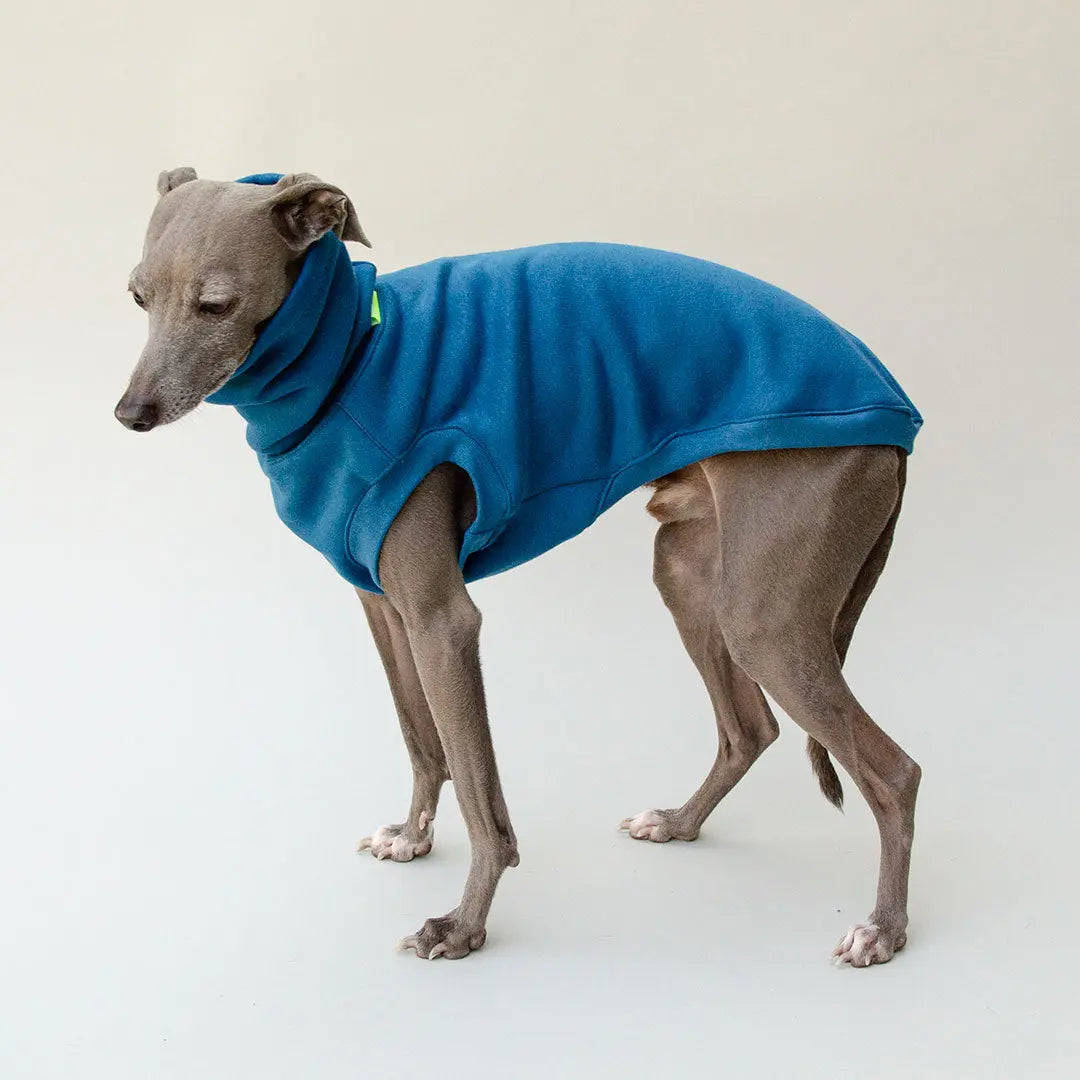 Dogsweater "COZY" - petrol 4legs.de