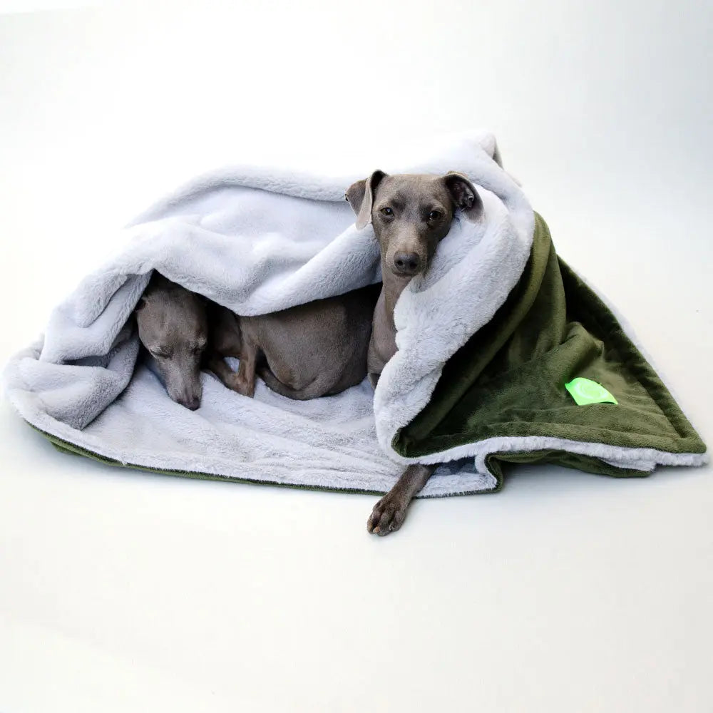 Eine Hundedecke der Luxusklasse  "Plaid - Deluxe" oliv-silber 4legs.de