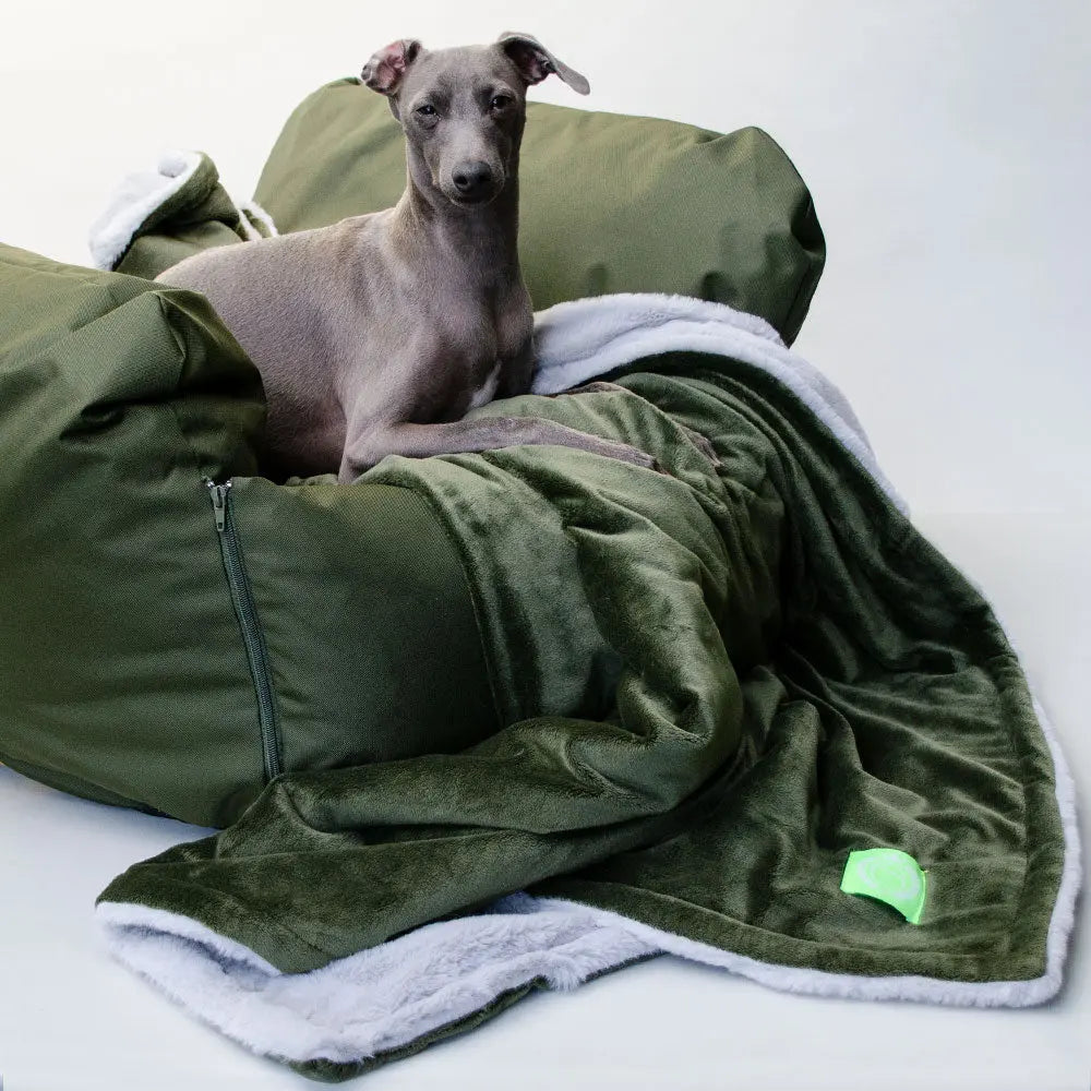 Eine Hundedecke der Luxusklasse  "Plaid - Deluxe" oliv-silber 4legs.de