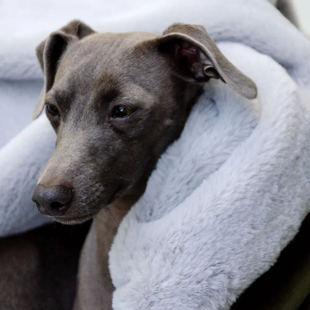 Eine Hundedecke der Luxusklasse  "Plaid - Deluxe" oliv-silber 4legs.de