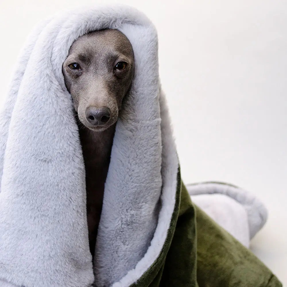 Eine Hundedecke der Luxusklasse  "Plaid - Deluxe" oliv-silber 4legs.de