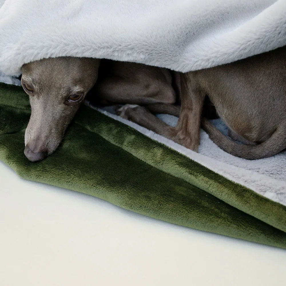 Eine Hundedecke der Luxusklasse  "Plaid - Deluxe" oliv-silber 4legs.de