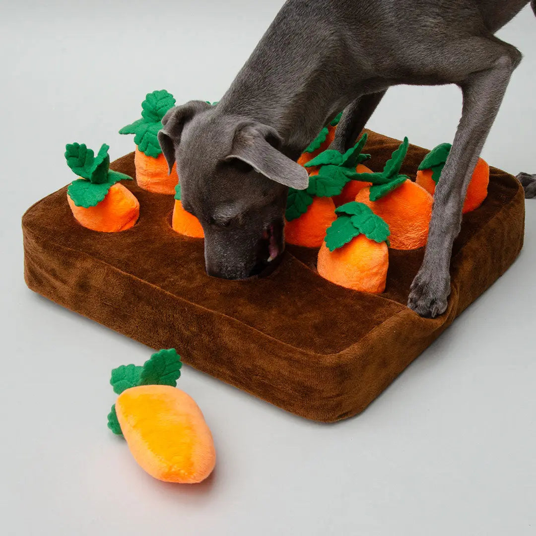 "Fields of Carrots" interaktives Plüschspielzeug 4legs.de