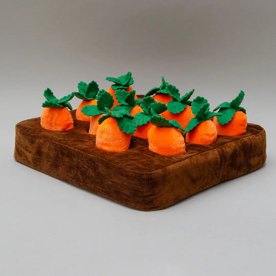 "Fields of Carrots" interaktives Plüschspielzeug 4legs.de