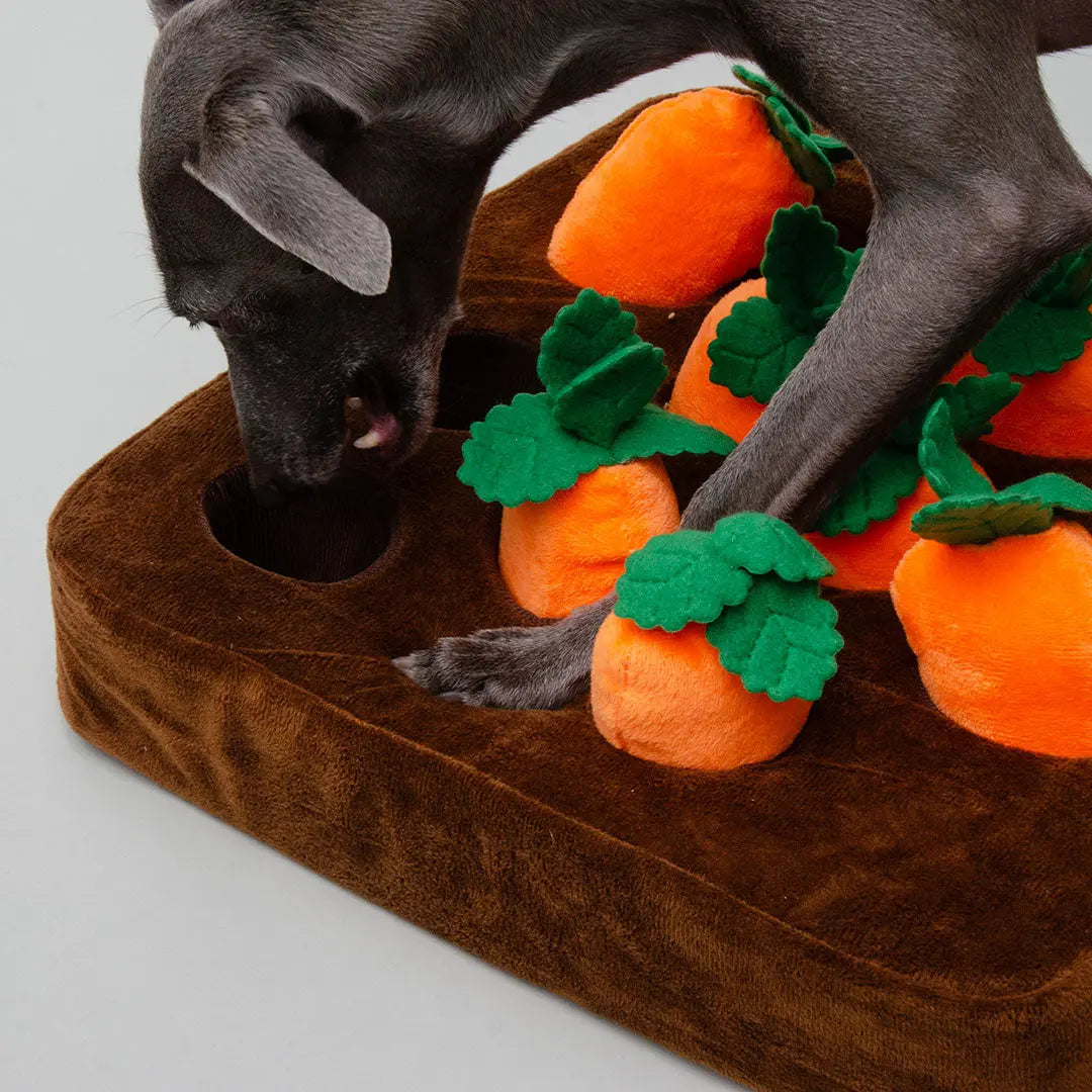 "Fields of Carrots" interaktives Plüschspielzeug 4legs.de