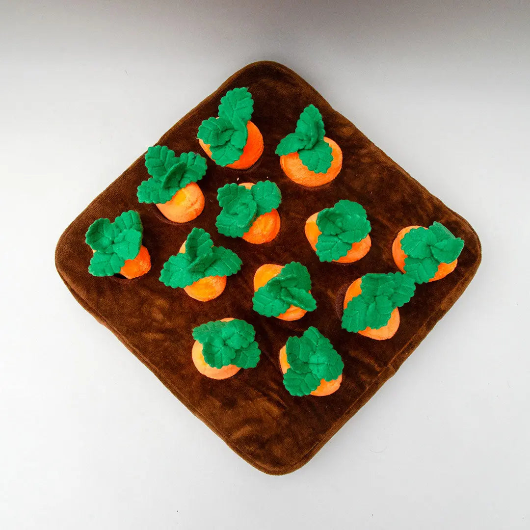 "Fields of Carrots" interaktives Plüschspielzeug 4legs.de