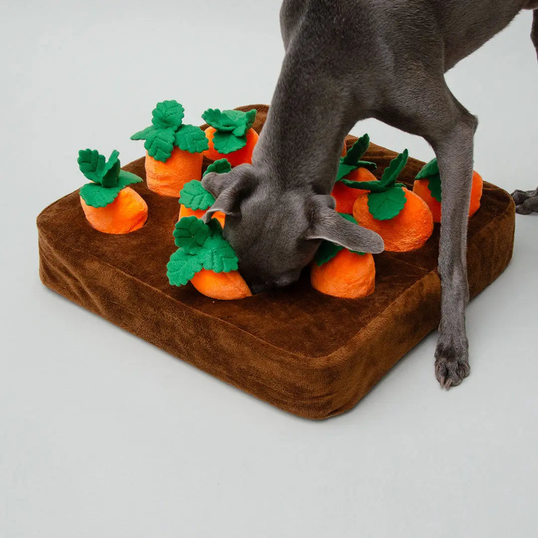 "Fields of Carrots" interaktives Plüschspielzeug 4legs.de