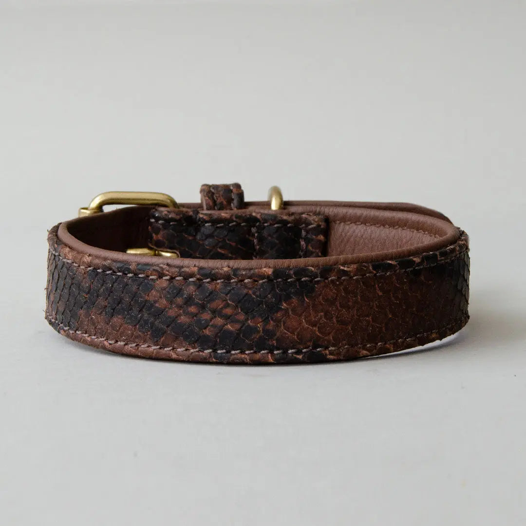 Gepolstertes Lederhalsband "Fake-Snake" DARK 4legs.de