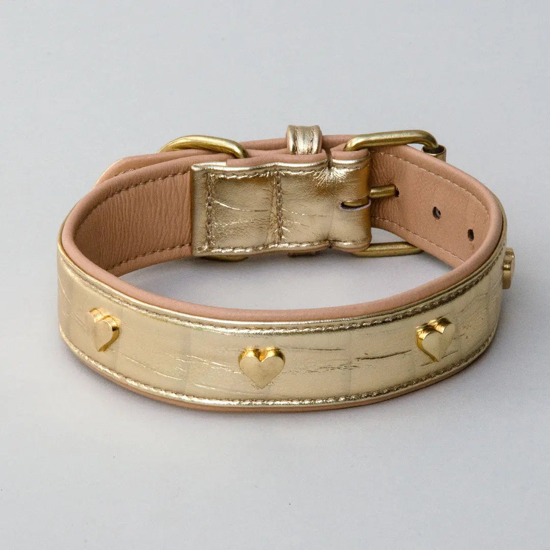 Gepolstertes Lederhalsband "Heart of Gold" - Gold 4legs.de