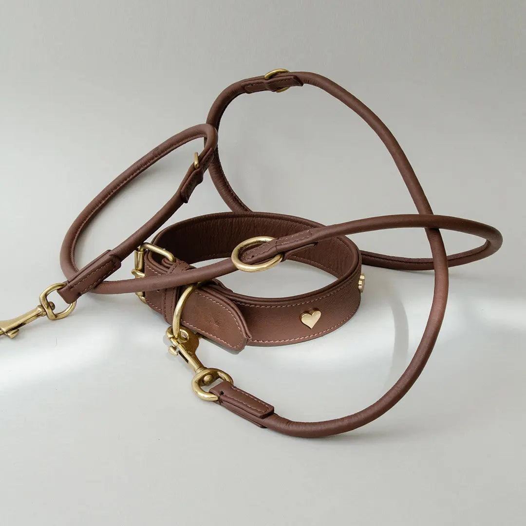 Gepolstertes Lederhalsband "Heart of Gold" - brown 4legs.de