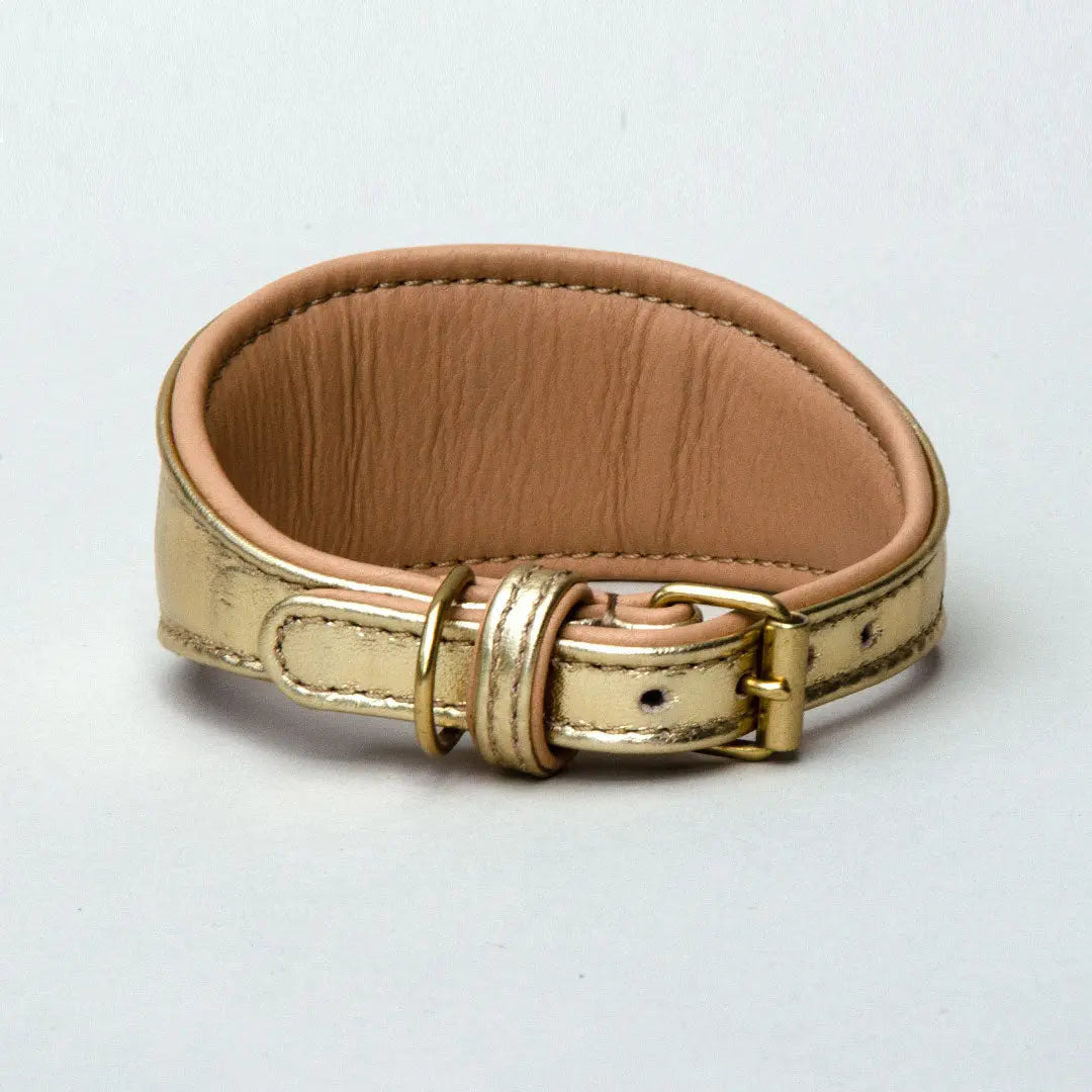 Gepolstertes Windhund-Halsband "Golden Glam" 4legs.de