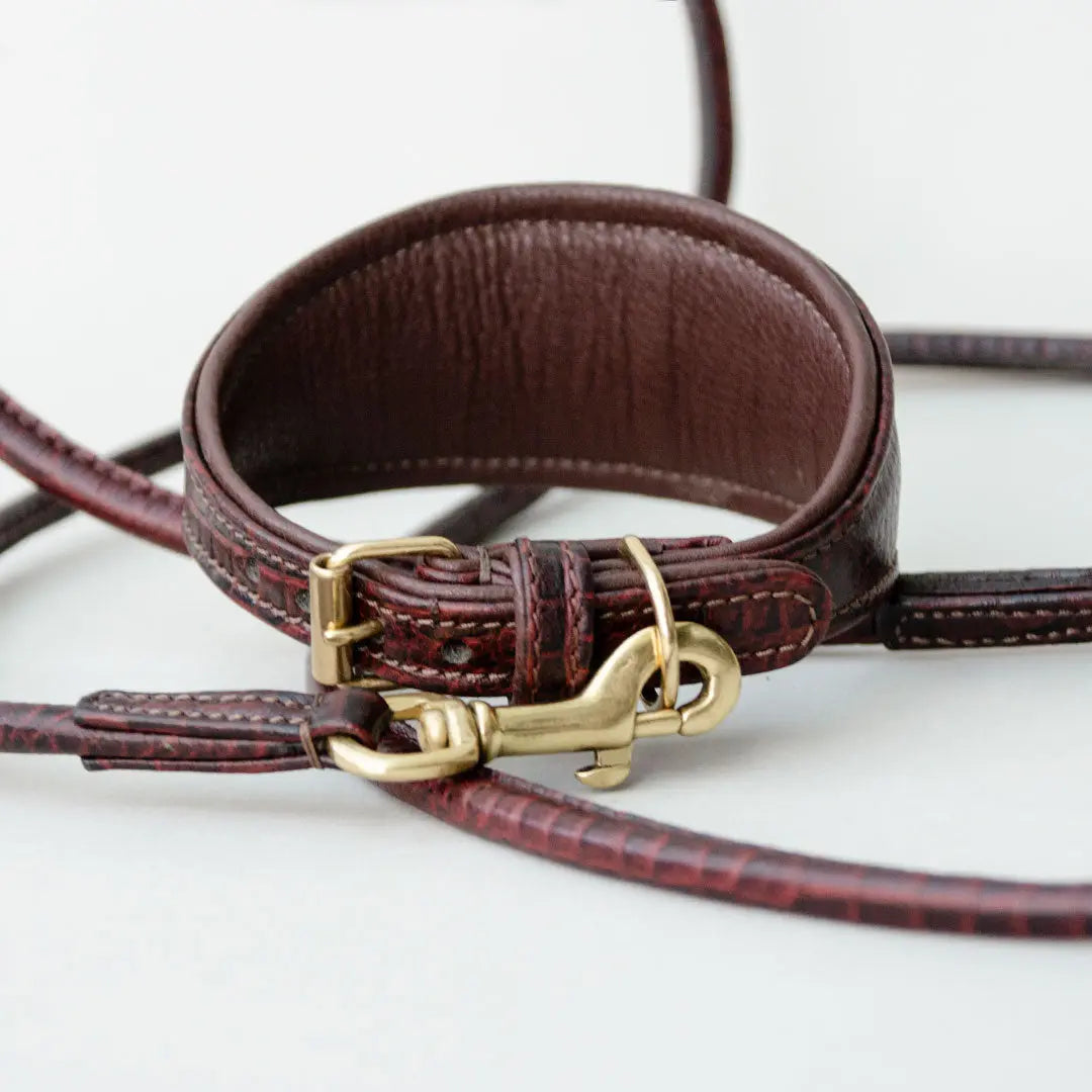 Gepolstertes Windhund-Halsband "Greyhound-Croco" 4legs.de