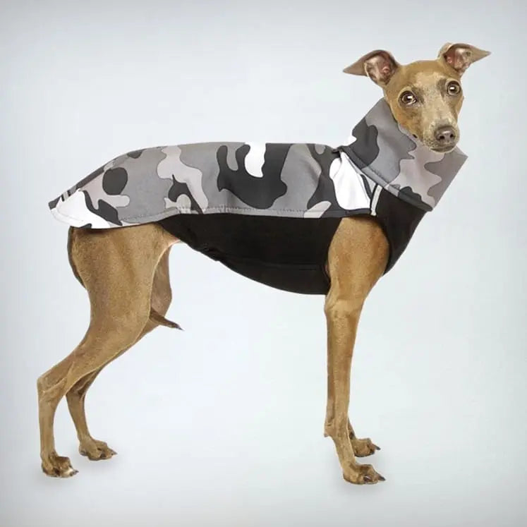 Die „Hachico Army“ in Camouflage grey ist die Softshell Hunde-Sportjacke, die für die besonders aktiven Hunde kreiiert wurde.