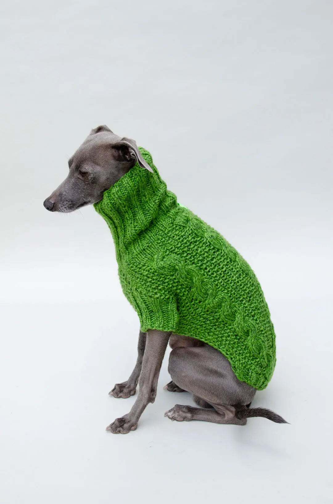 Handgestrickter Hundepullover Alpaca-Wollgemisch 4legs.de