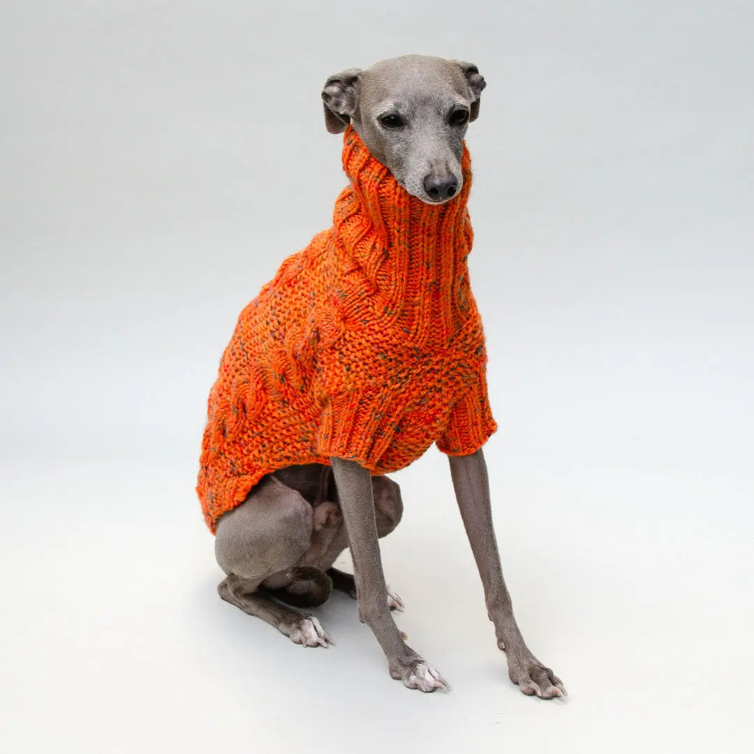 Handgestrickter Pulli für Hunde - orange 4legs.de