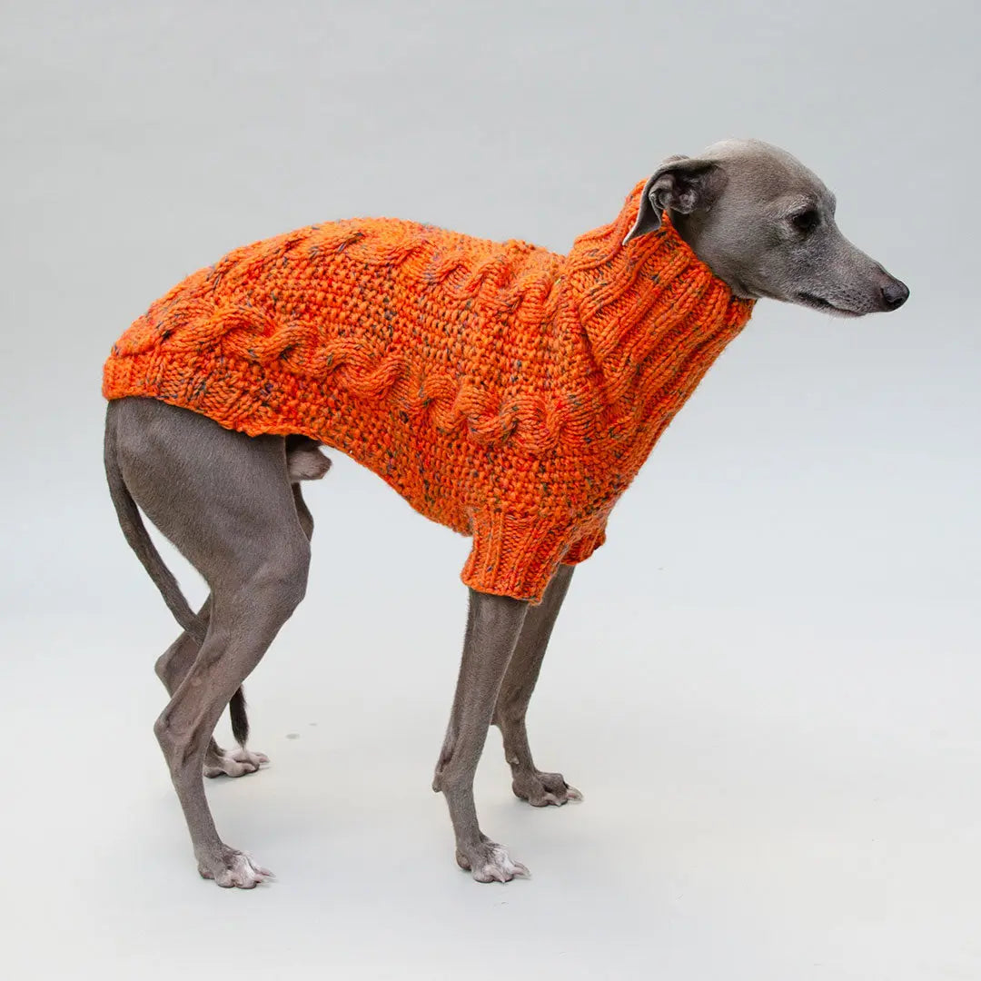 Handgestrickter Pulli für Hunde - orange 4legs.de