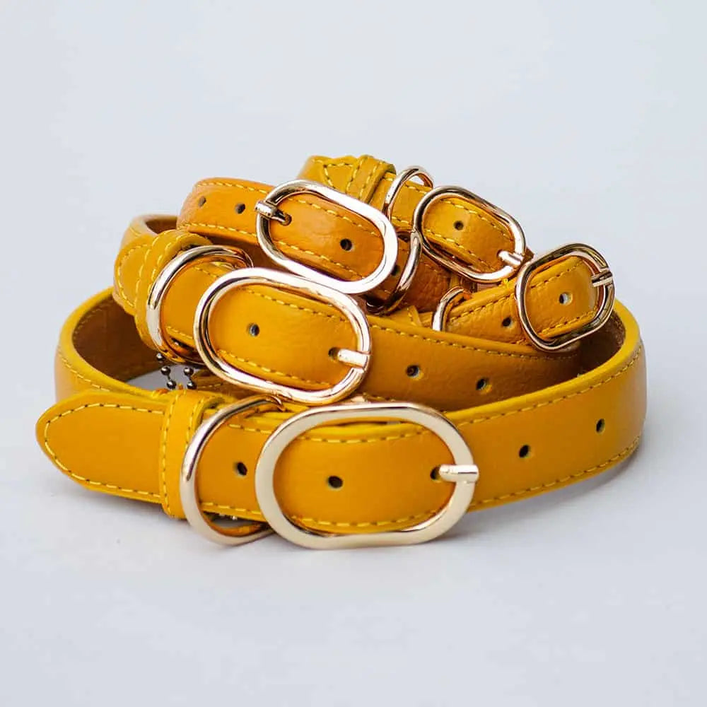 "Summer" im gold-gelbenem Ton ist ein Hunde Lederhalsband mit besonderer Qualität, Langlebigkeit und hoher Robustheit. 