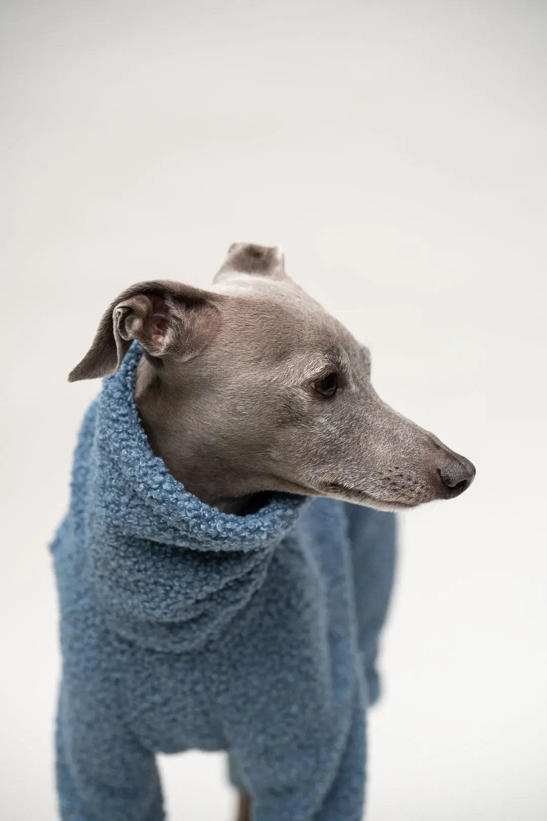 Hunde-Overall "Polar-4Legs" sky-blue 4legs.de