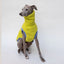 Dog sweater “Glow” Kiwi