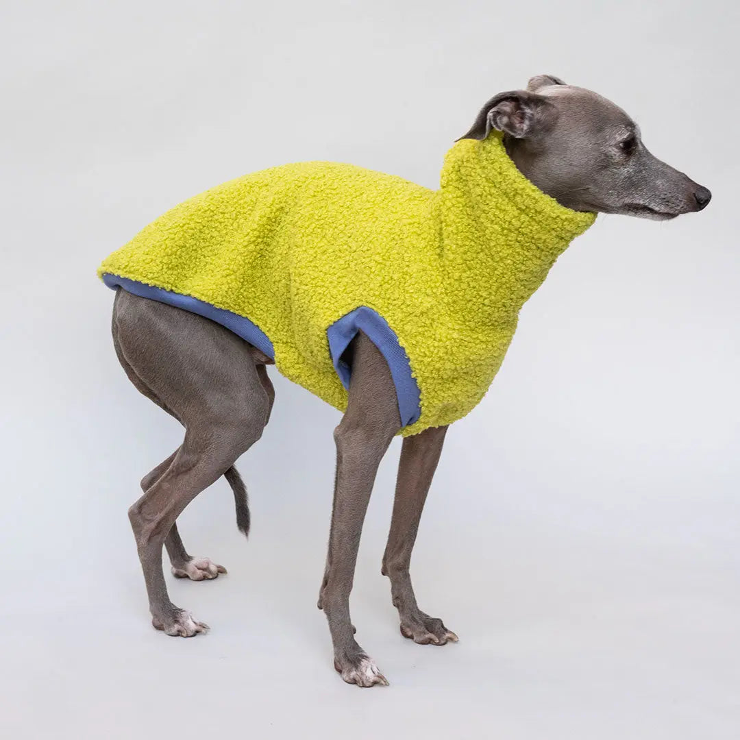 Hunde-Pulli "Glow" Kiwi 4legs.de