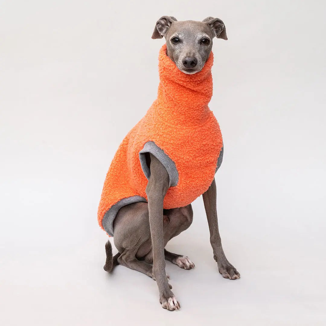 Hunde-Pulli "Glow" Melone 4legs.de