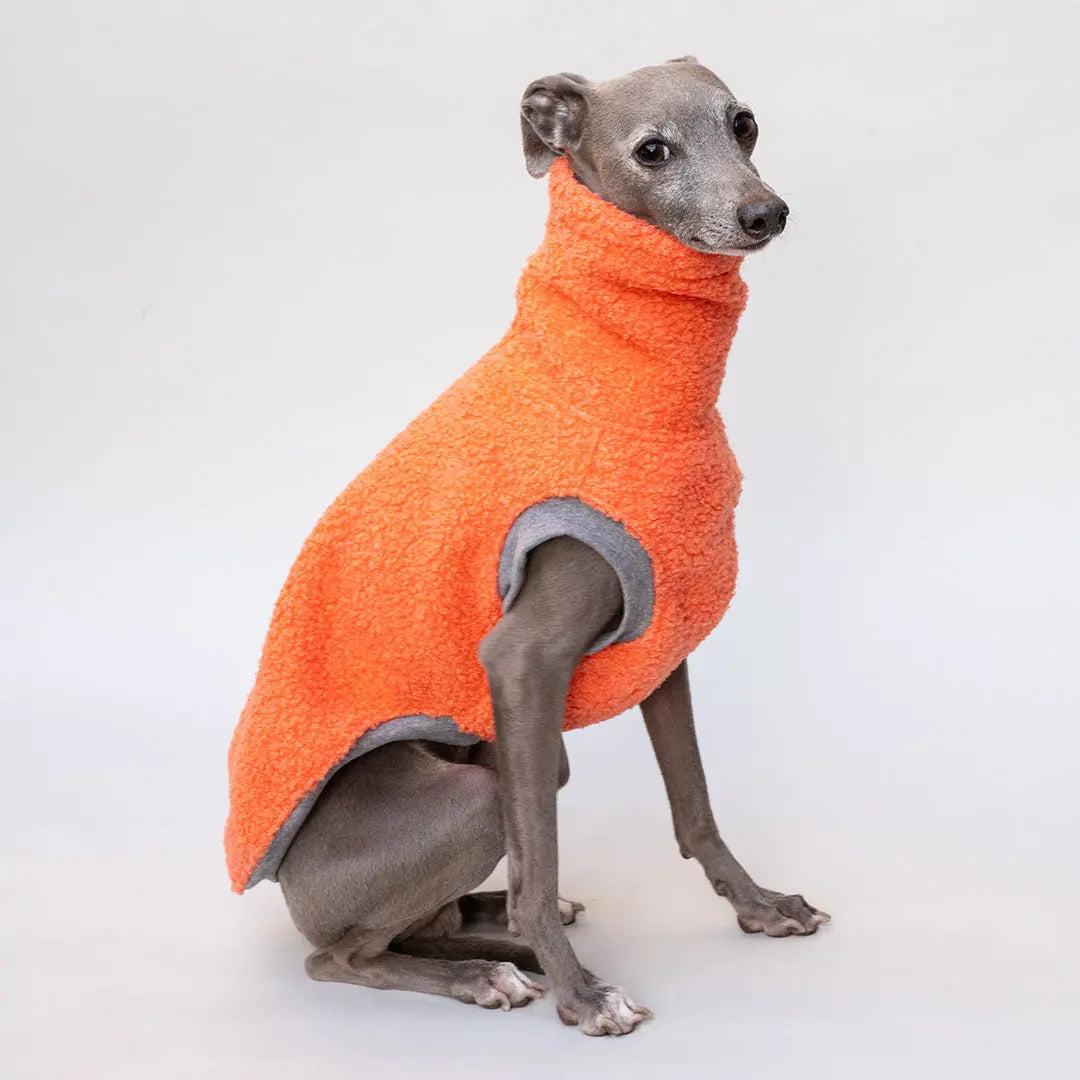 Hunde-Pulli "Glow" Melone 4legs.de