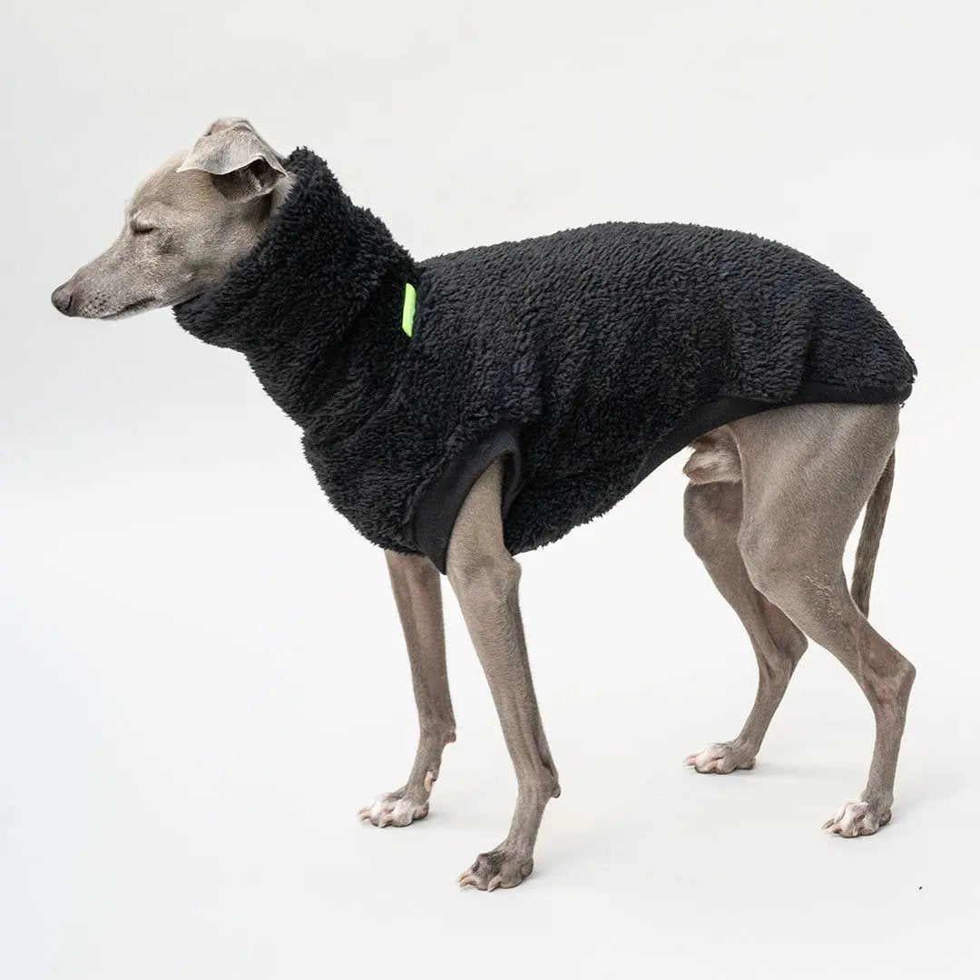 Hunde-Pulli "Koala" Black 4legs.de