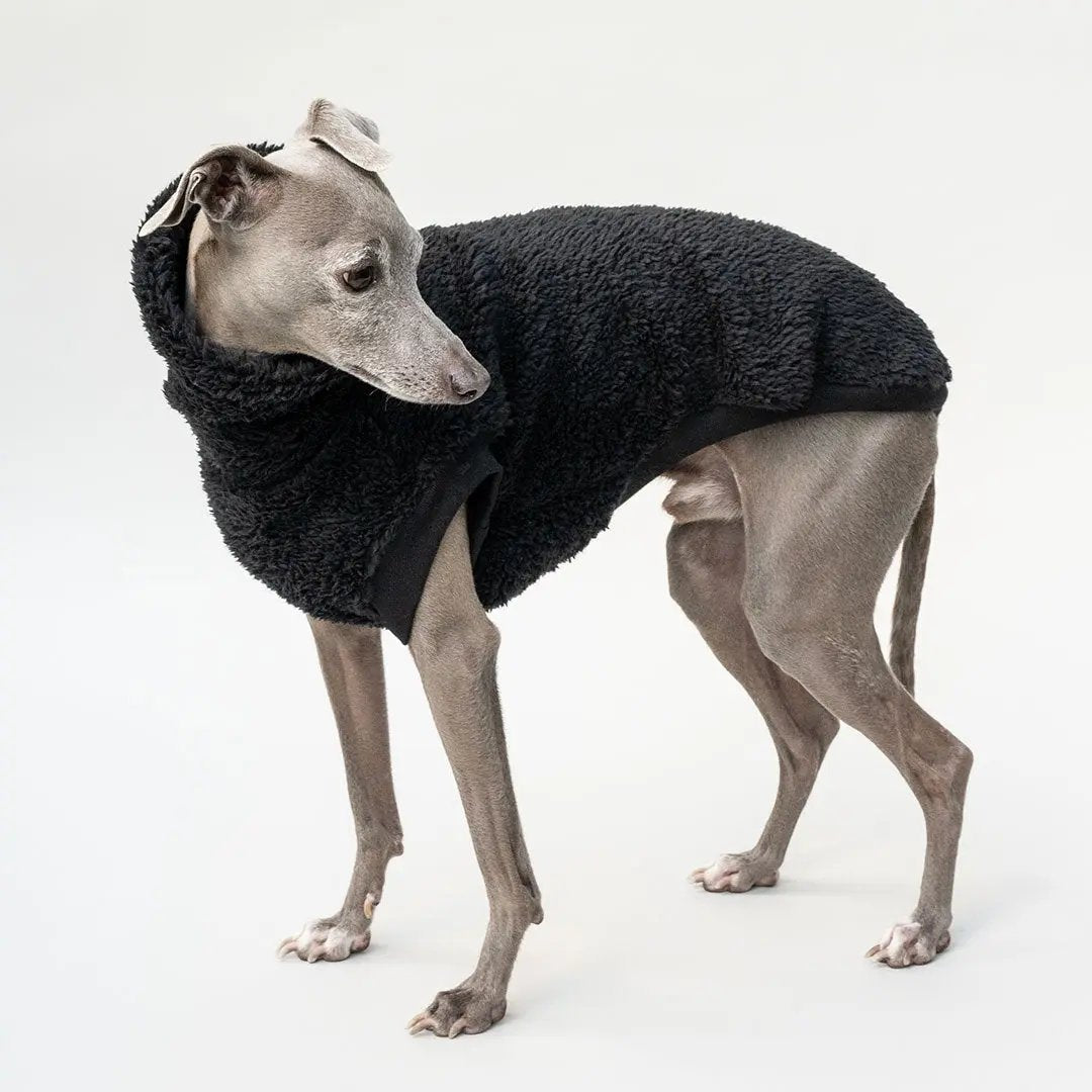Hunde-Pulli "Koala" Black 4legs.de