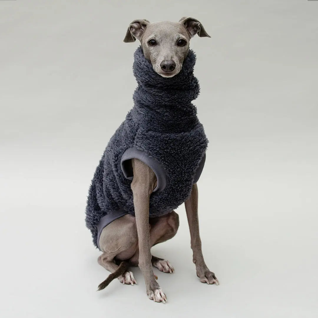 Hunde-Pulli "Koala" Blau-Grau 4legs.de