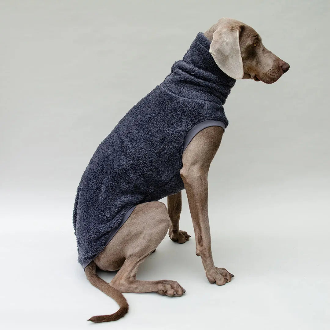 Hunde-Pulli "Koala" Blau-Grau 4legs.de