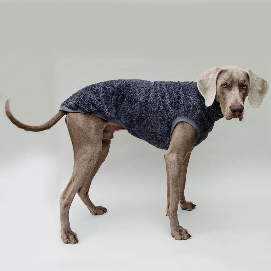 Hunde-Pulli "Koala" Blau-Grau 4legs.de