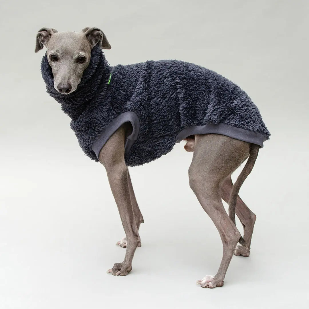 Hunde-Pulli "Koala" Blau-Grau 4legs.de
