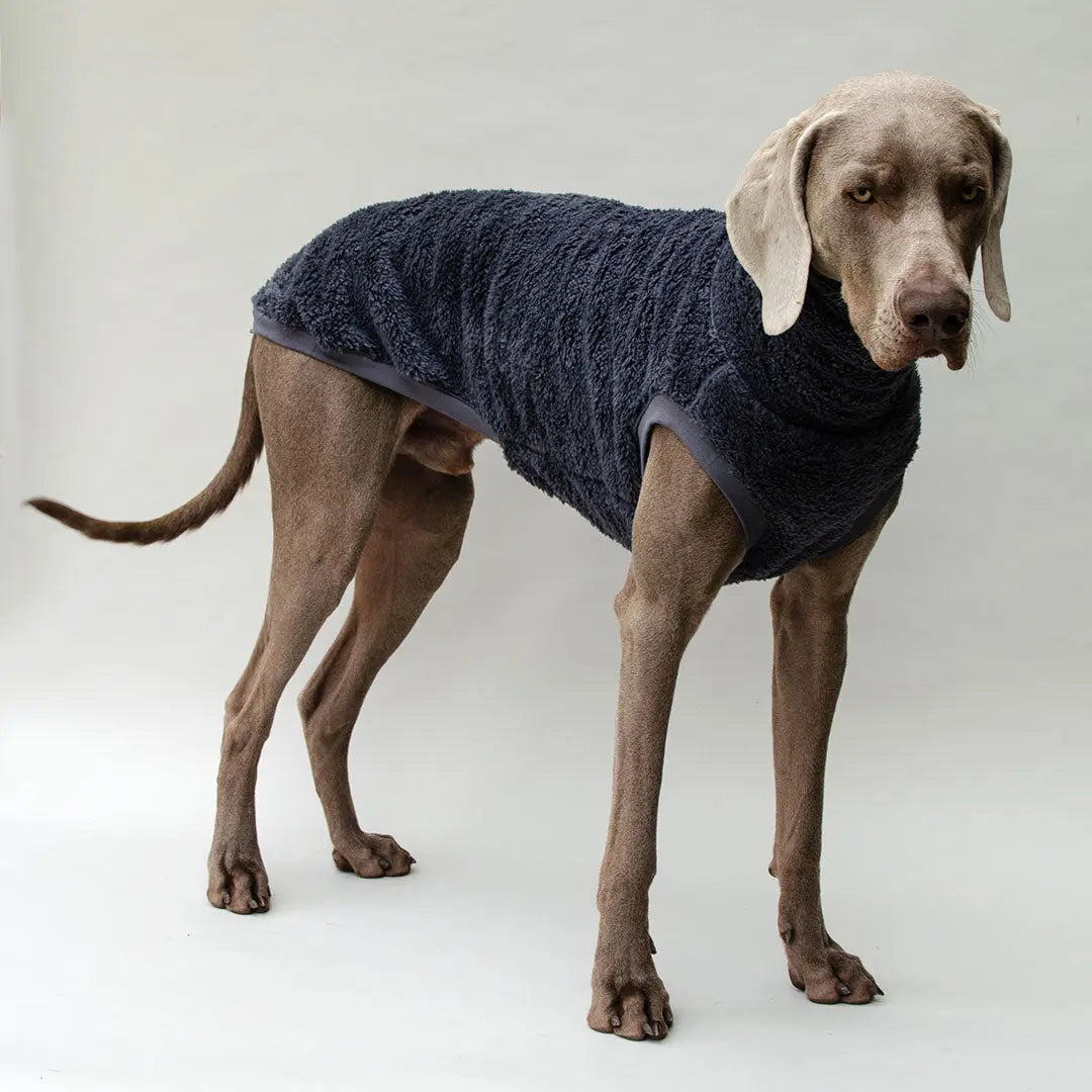 Hunde-Pulli "Koala" Blau-Grau 4legs.de