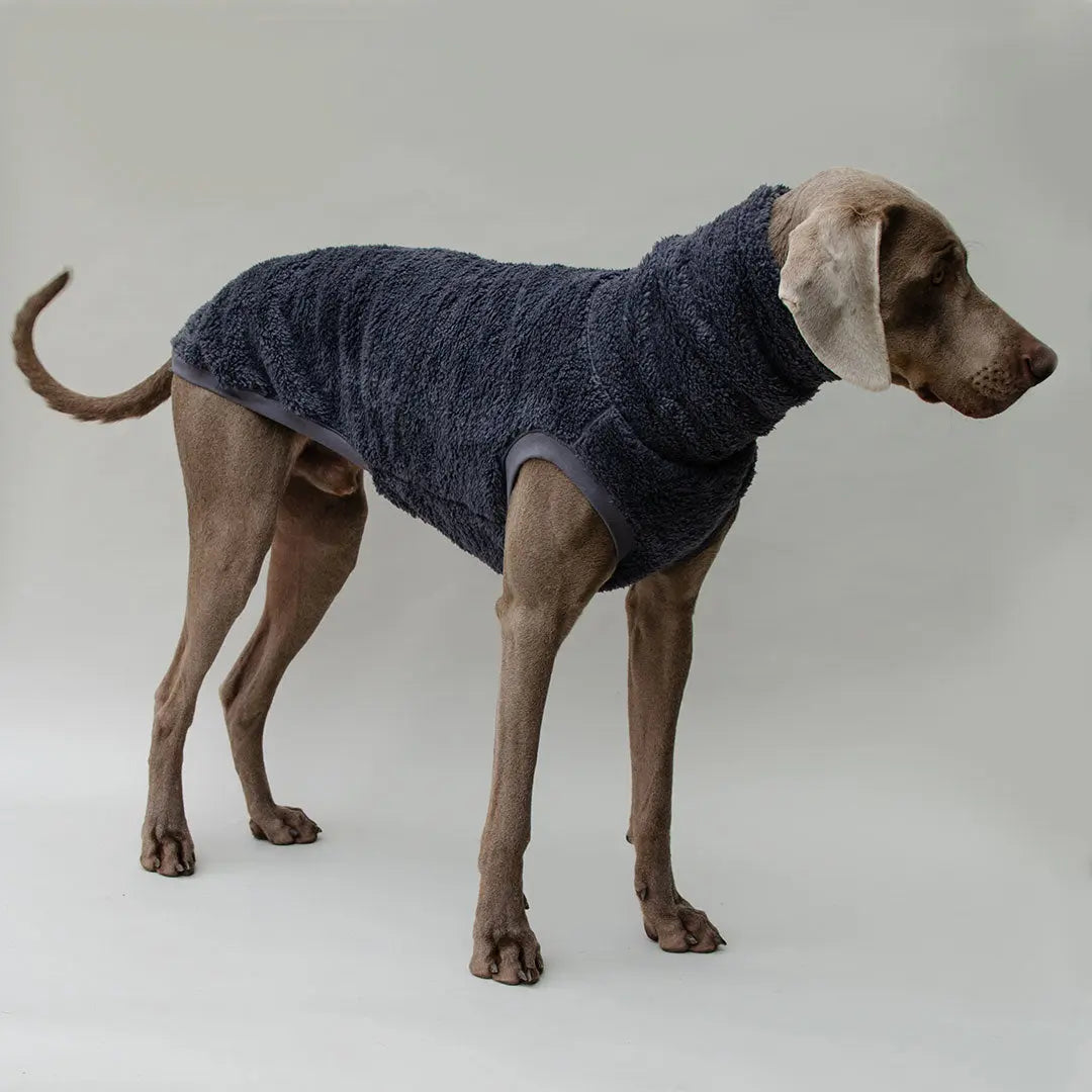 Hunde-Pulli "Koala" Blau-Grau 4legs.de