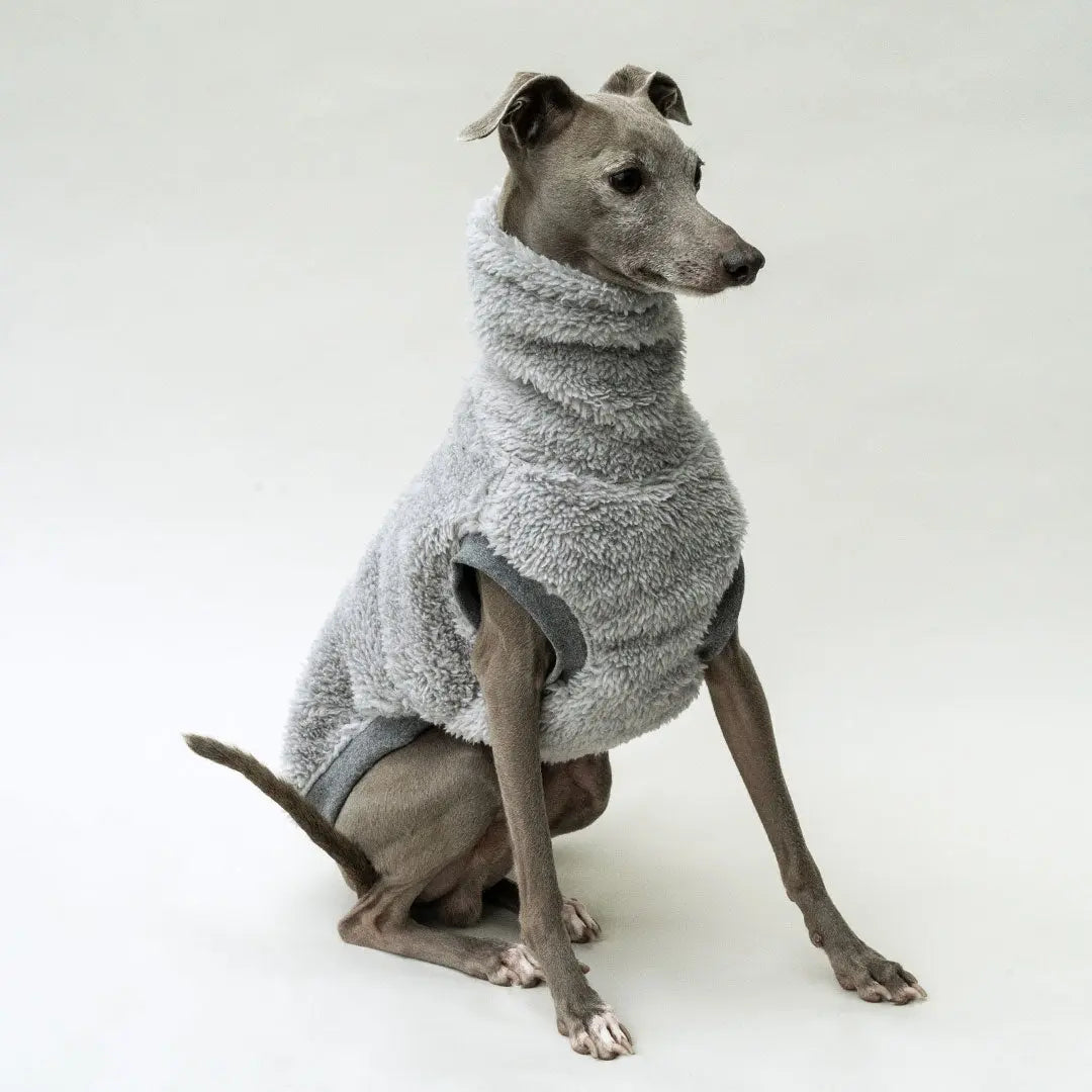 Hunde-Pulli "Koala" silbergrau 4legs.de