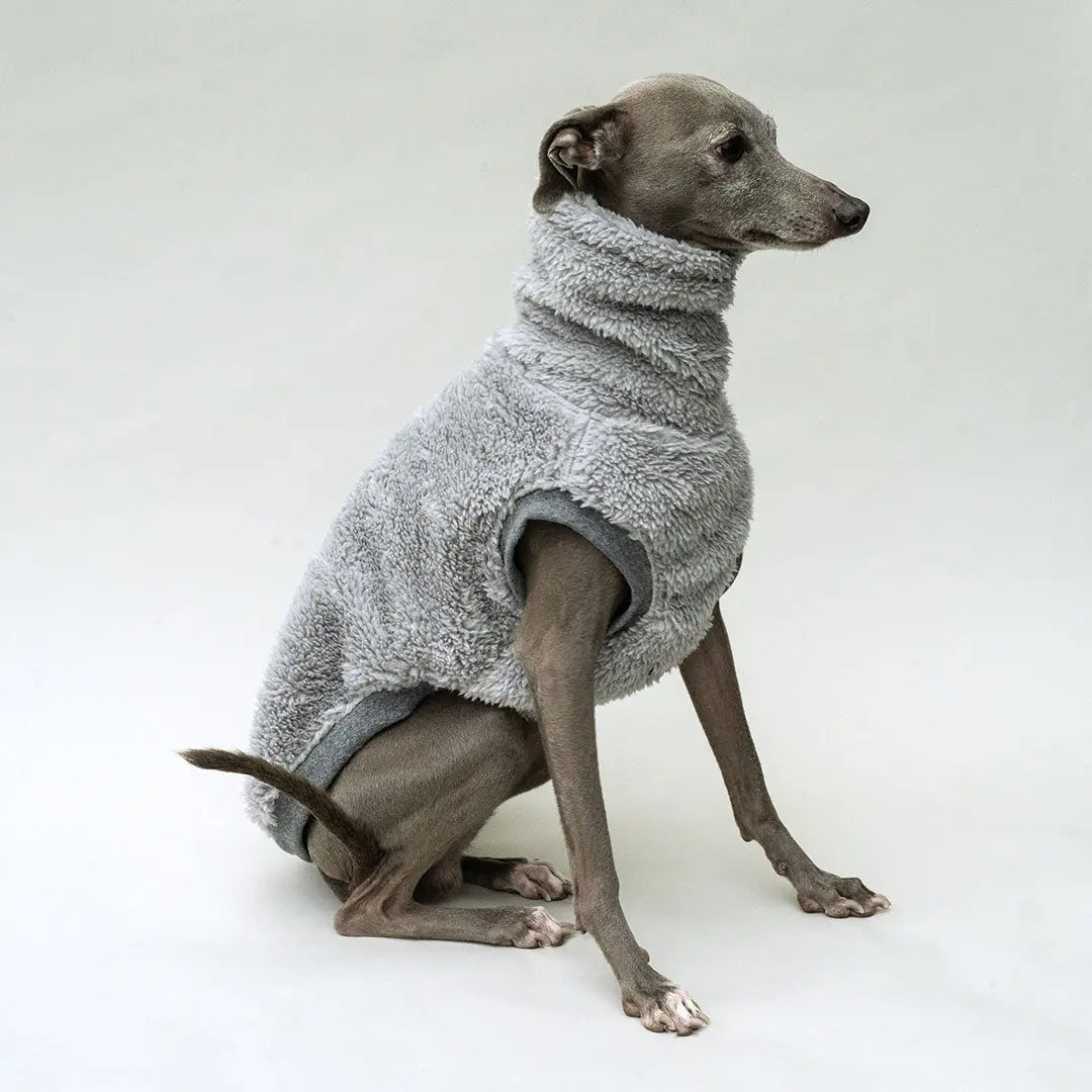Hunde-Pulli "Koala" silbergrau 4legs.de