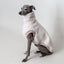 Hunde-Pulli 
