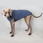 Pull pour chien « Teddy » bleu tourterelle